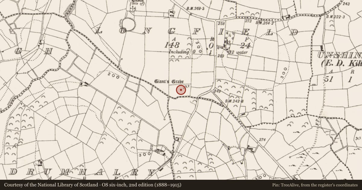Ordnance Survey six-inch map, 2nd edition (1888–1915) covering the location of Megalithic tomb - unclassified, Longfield, County Leitrim, with a pin at the register's coordinates