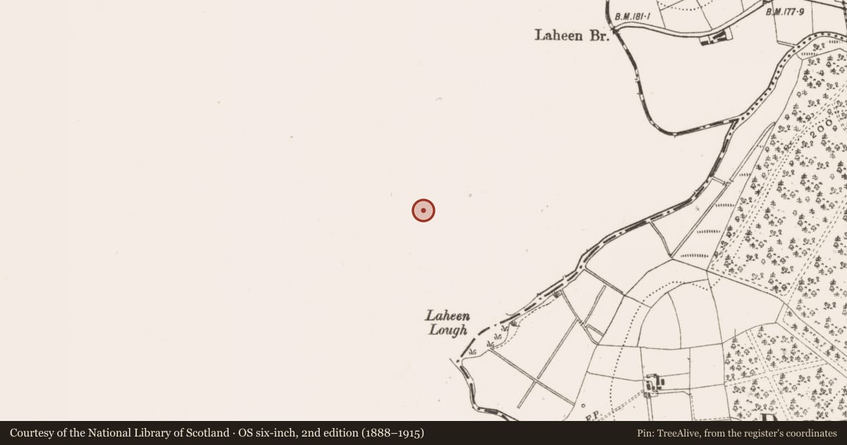 Ordnance Survey six-inch map, 2nd edition (1888–1915) covering the location of Crannog, Laheen, County Leitrim, with a pin at the register's coordinates