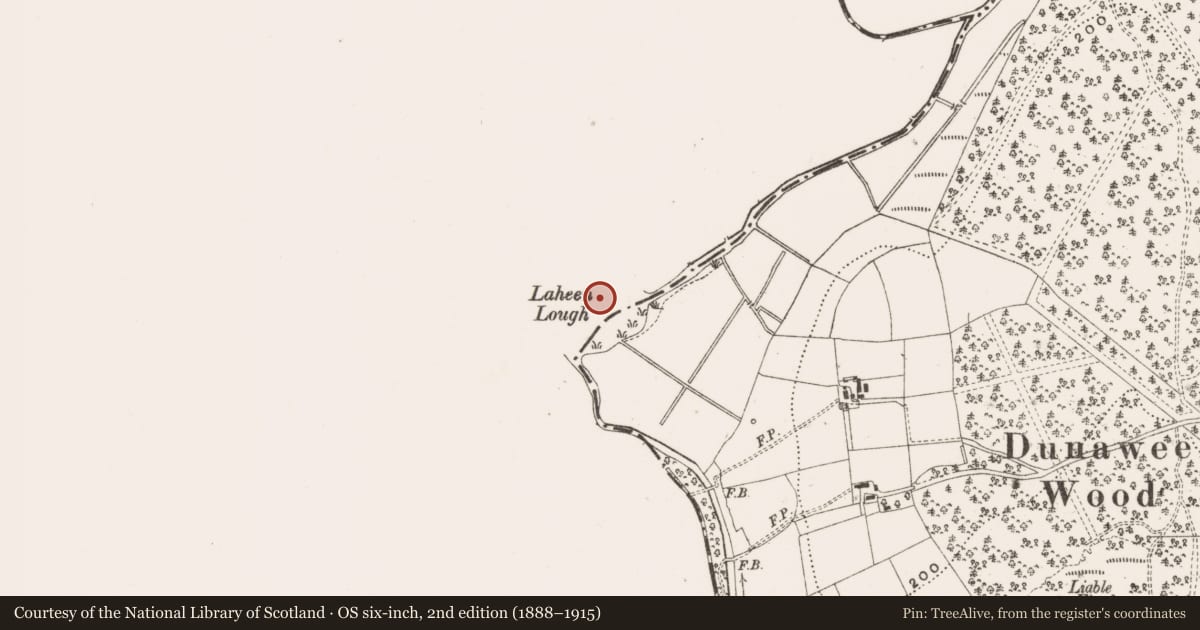 Ordnance Survey six-inch map, 2nd edition (1888–1915) covering the location of Crannog, Laheen, County Leitrim, with a pin at the register's coordinates