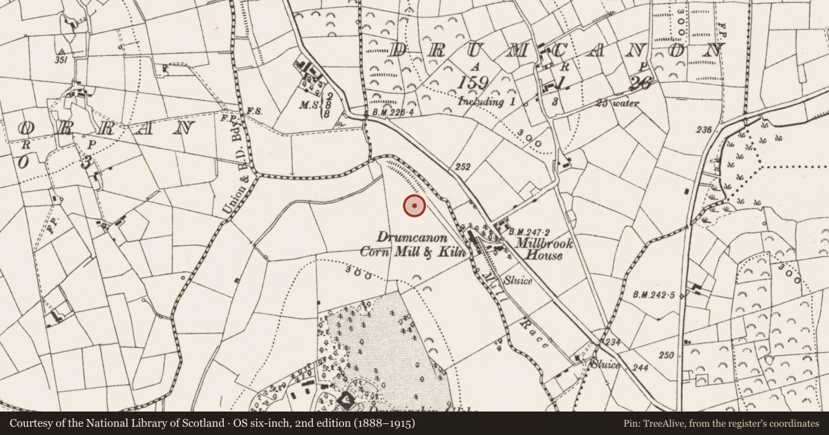 Ordnance Survey six-inch map, 2nd edition (1888–1915) covering the location of Road - road/trackway, County Leitrim, with a pin at the register's coordinates