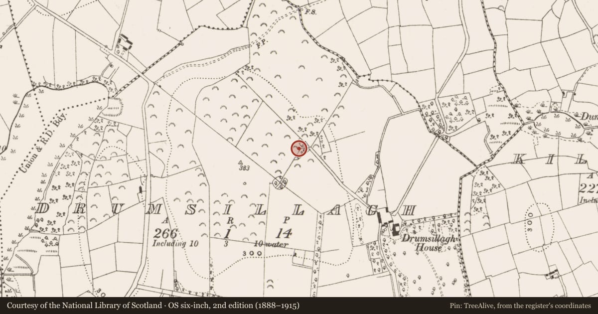 Ordnance Survey six-inch map, 2nd edition (1888–1915) covering the location of Designed landscape - tree-ring, Drumsillagh, County Leitrim, with a pin at the register's coordinates