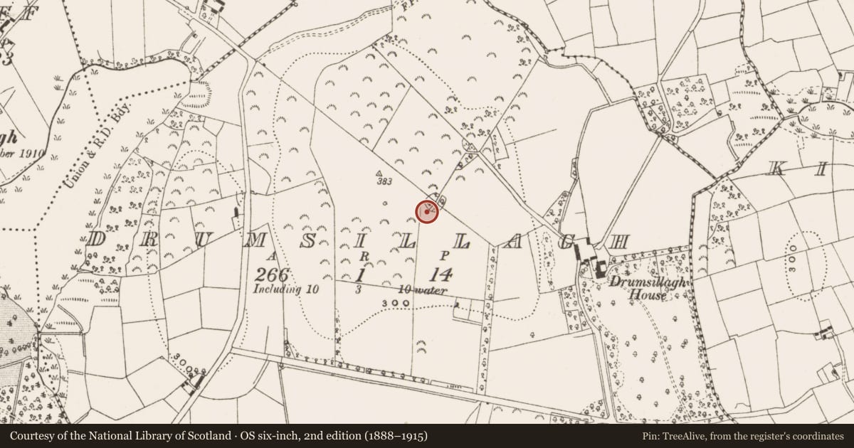 Ordnance Survey six-inch map, 2nd edition (1888–1915) covering the location of Designed landscape - tree-ring, Drumsillagh, County Leitrim, with a pin at the register's coordinates