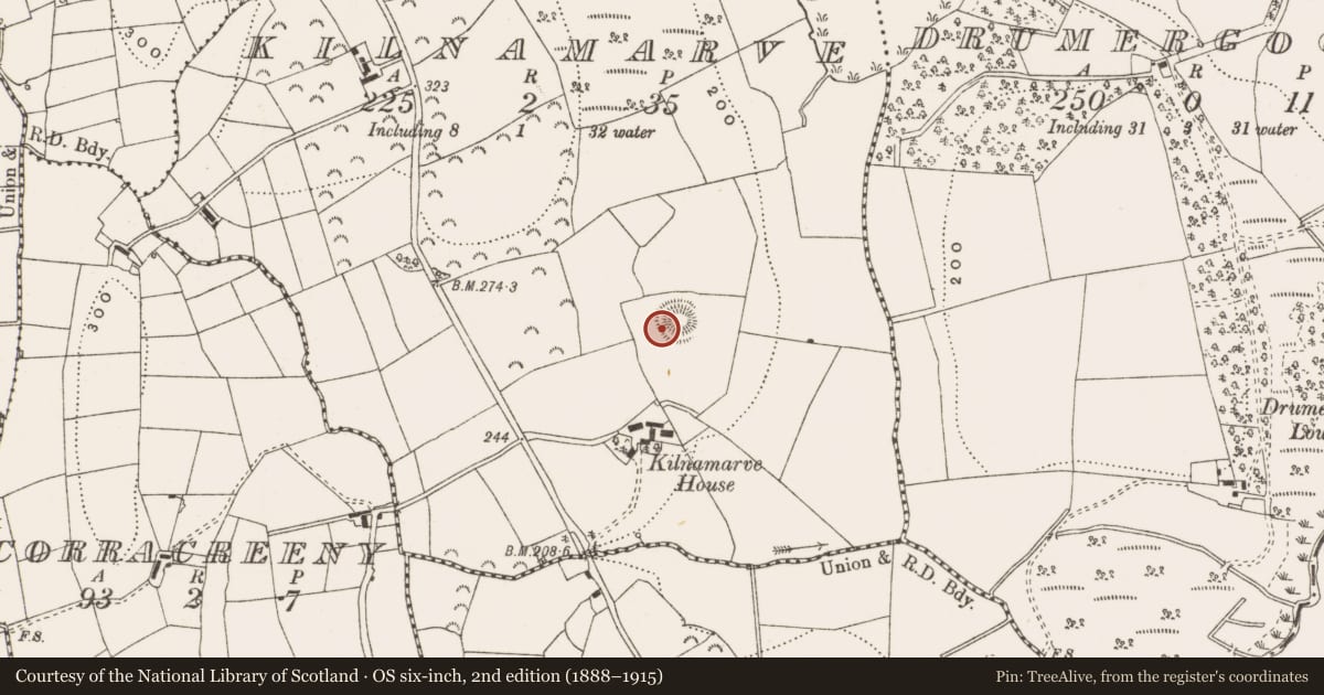 Ordnance Survey six-inch map, 2nd edition (1888–1915) covering the location of Barrow - stepped barrow, Kilnamarve, County Leitrim, with a pin at the register's coordinates