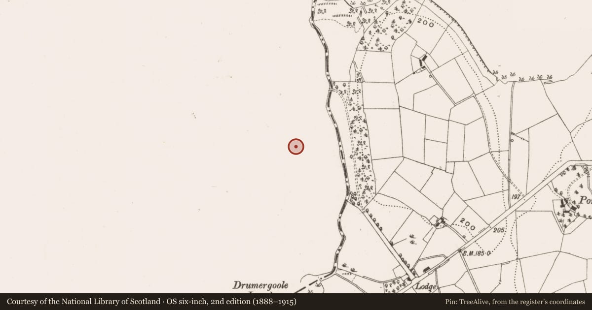 Ordnance Survey six-inch map, 2nd edition (1888–1915) covering the location of Ringfort - rath, Drumergoole, County Leitrim, with a pin at the register's coordinates