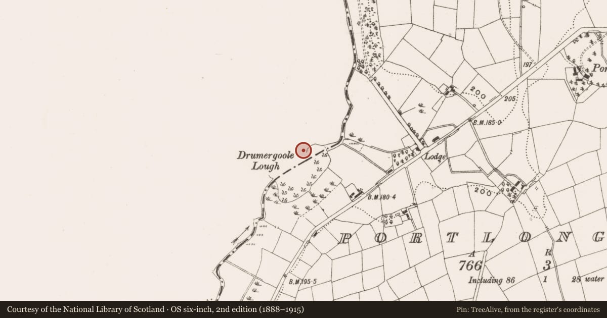 Ordnance Survey six-inch map, 2nd edition (1888–1915) covering the location of Crannog, Drumergoole, County Leitrim, with a pin at the register's coordinates