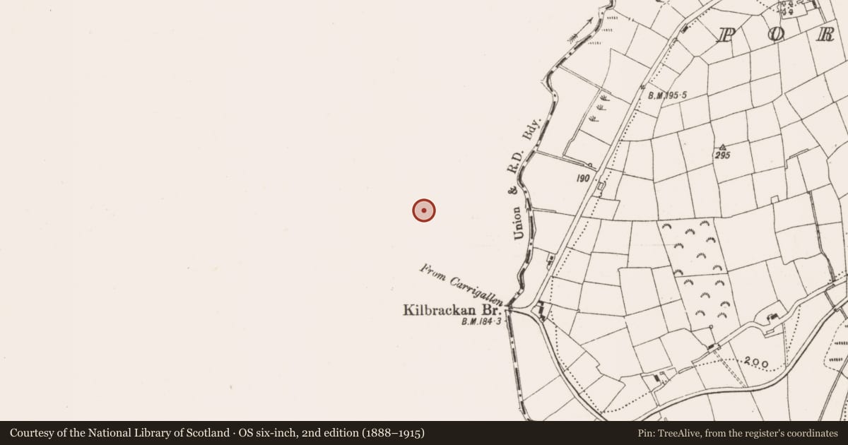 Ordnance Survey six-inch map, 2nd edition (1888–1915) covering the location of Ringfort - rath, Kilbrackan, County Leitrim, with a pin at the register's coordinates