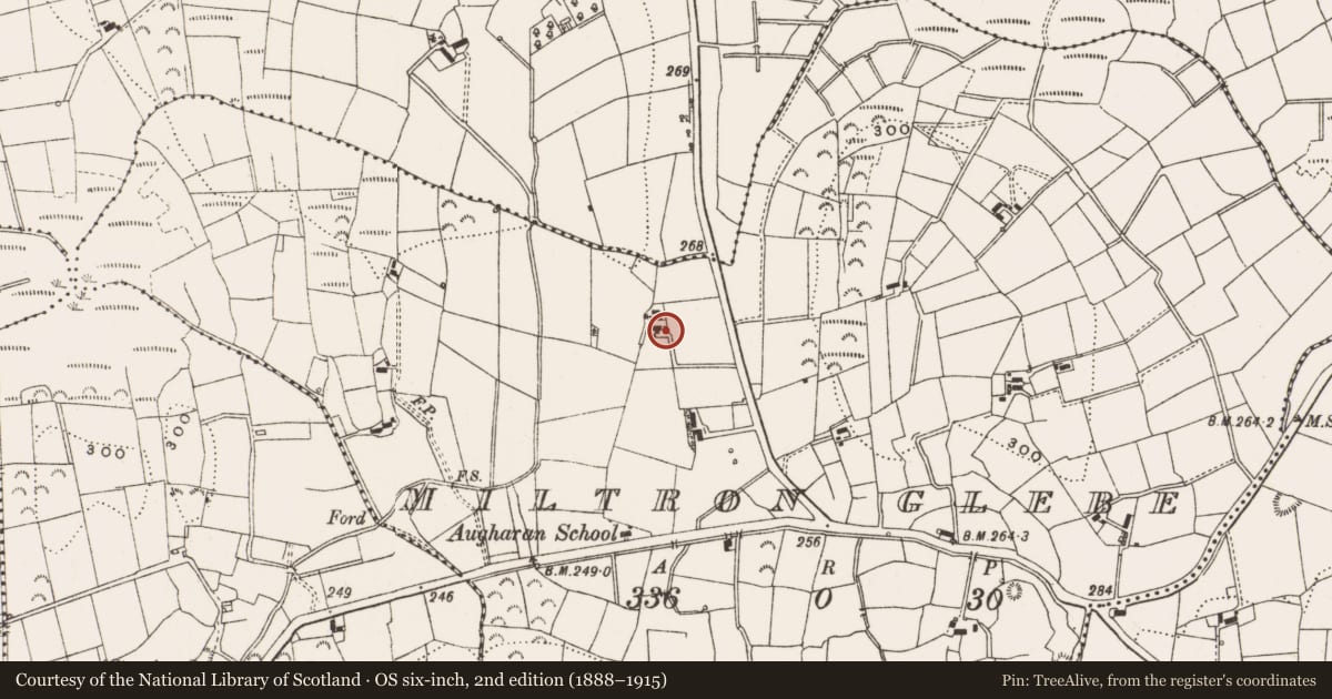 Ordnance Survey six-inch map, 2nd edition (1888–1915) covering the location of Stone row, Miltron Glebe, County Leitrim, with a pin at the register's coordinates