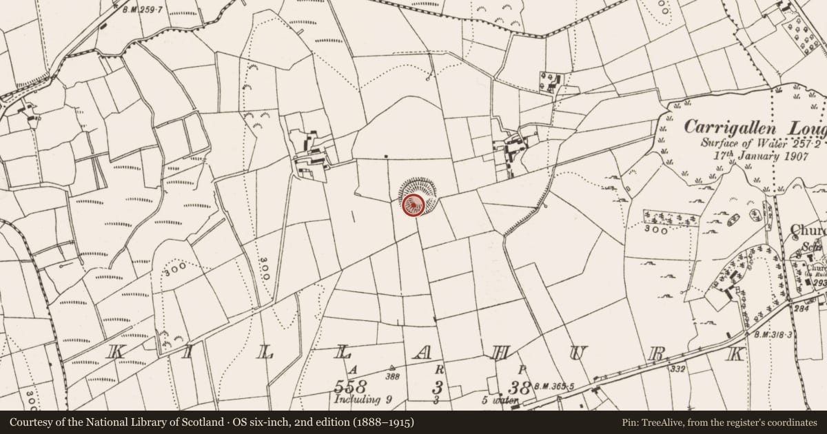 Ordnance Survey six-inch map, 2nd edition (1888–1915) covering the location of Ringfort - rath, Killahurk, County Leitrim, with a pin at the register's coordinates