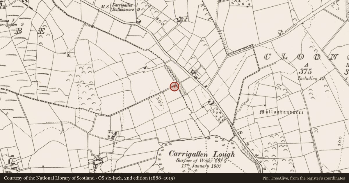 Ordnance Survey six-inch map, 2nd edition (1888–1915) covering the location of Road - road/trackway, County Leitrim, with a pin at the register's coordinates