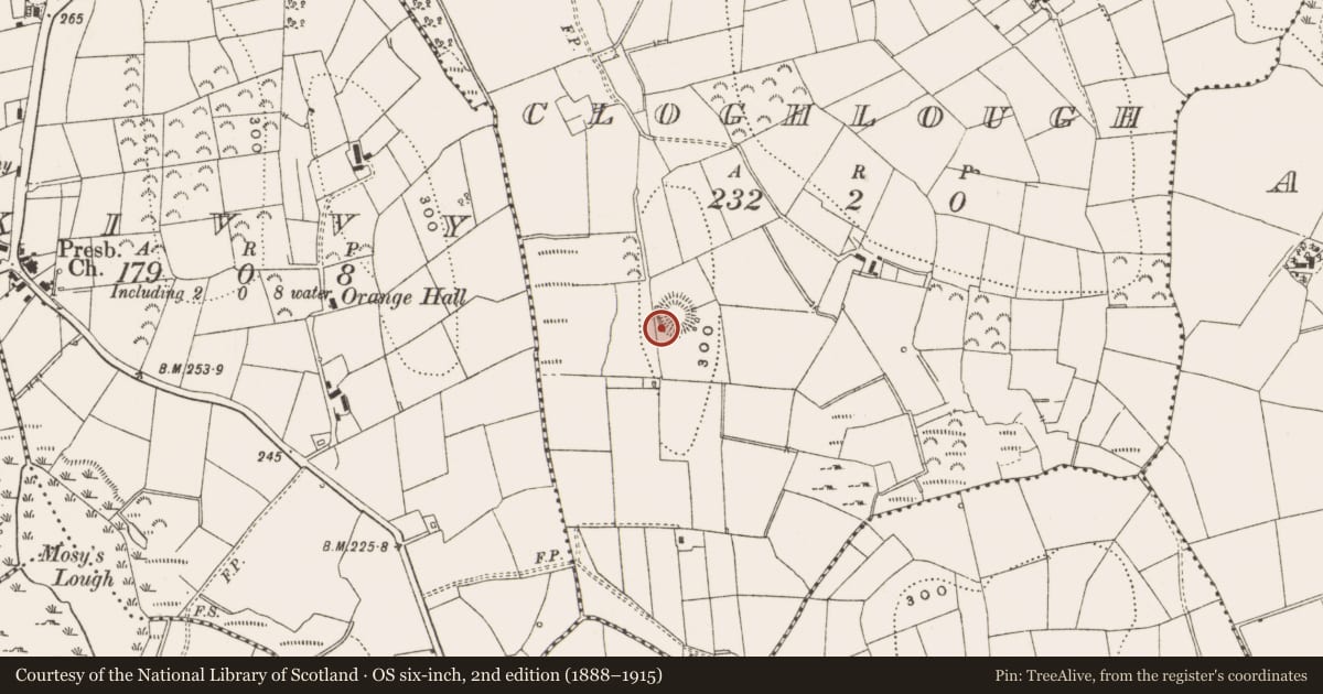 Ordnance Survey six-inch map, 2nd edition (1888–1915) covering the location of Ringfort - rath, Cloghlough, County Leitrim, with a pin at the register's coordinates
