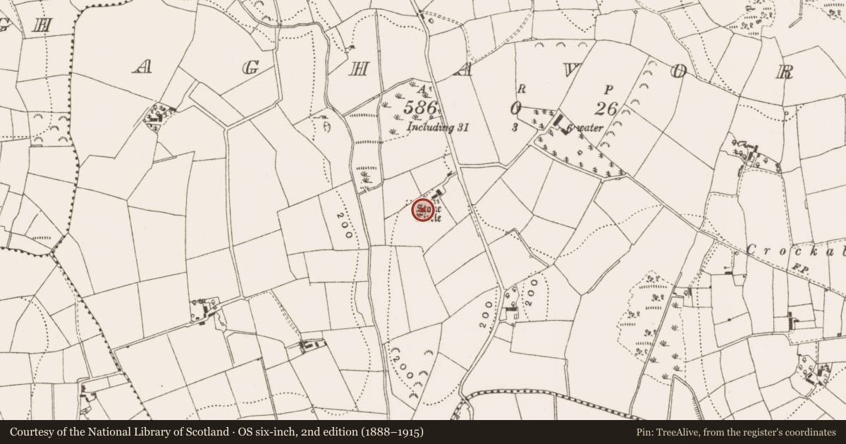 Ordnance Survey six-inch map, 2nd edition (1888–1915) covering the location of Megalithic structure, Aghavore, County Leitrim, with a pin at the register's coordinates