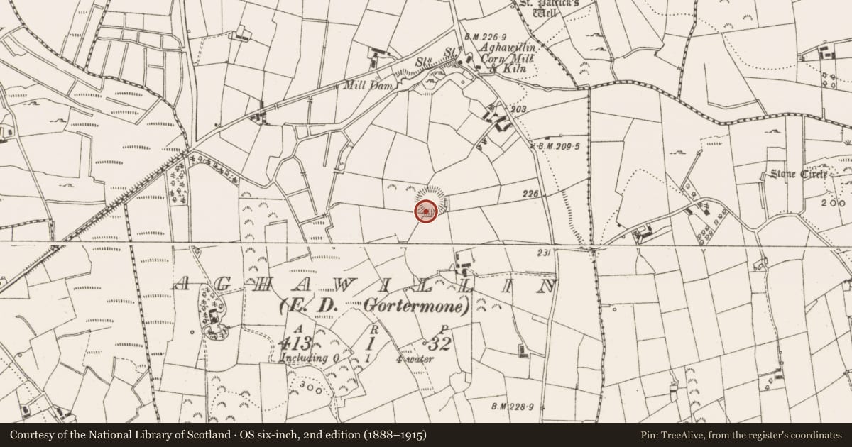 Ordnance Survey six-inch map, 2nd edition (1888–1915) covering the location of Ringfort - rath, Aghawillin, County Leitrim, with a pin at the register's coordinates