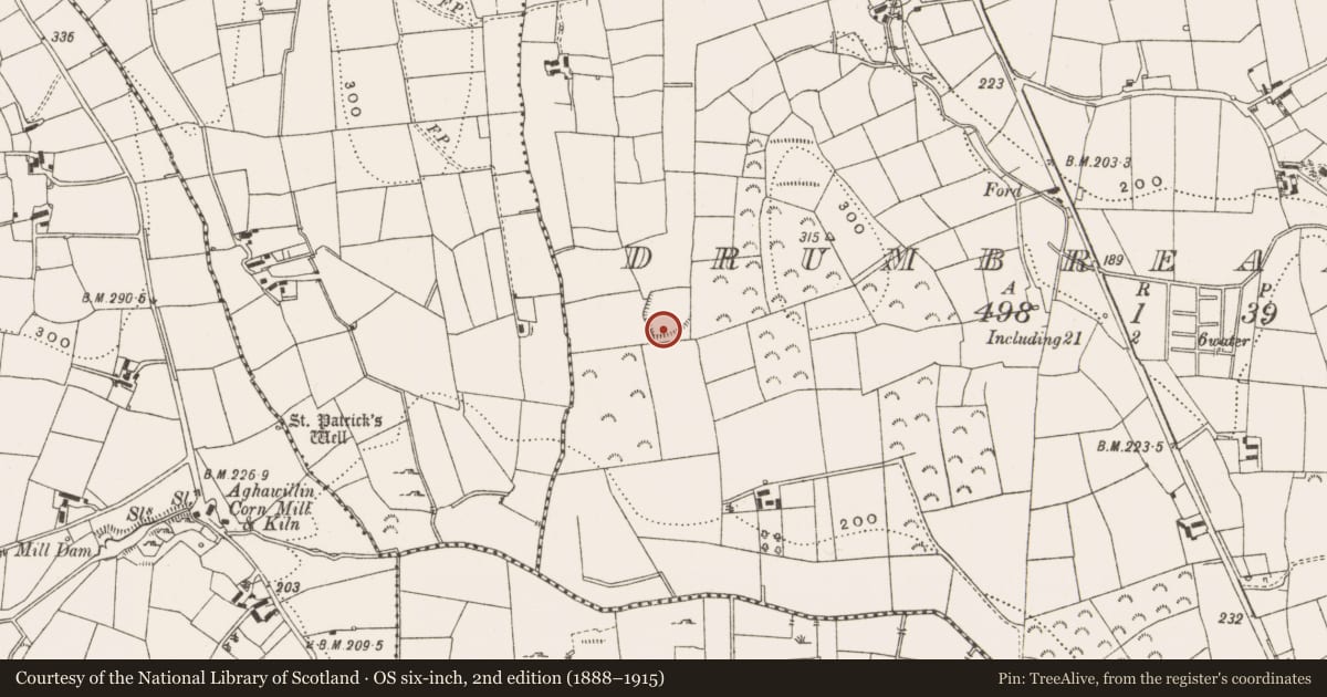 Ordnance Survey six-inch map, 2nd edition (1888–1915) covering the location of Ringfort - rath, Drumbreanlis, County Leitrim, with a pin at the register's coordinates