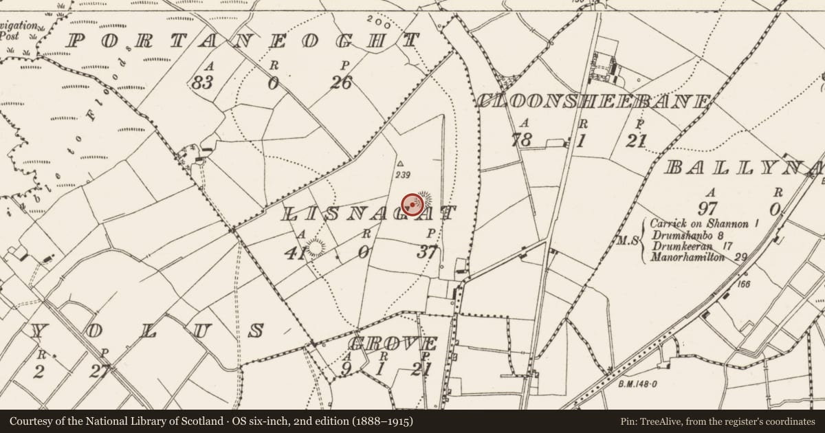 Ordnance Survey six-inch map, 2nd edition (1888–1915) covering the location of Ringfort - rath, Lisnagat, County Leitrim, with a pin at the register's coordinates