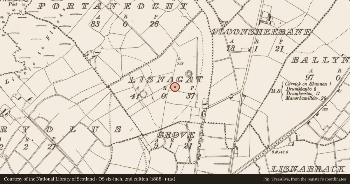 Ordnance Survey six-inch map, 2nd edition (1888–1915) covering the location of Hut site, Lisnagat, County Leitrim, with a pin at the register's coordinates