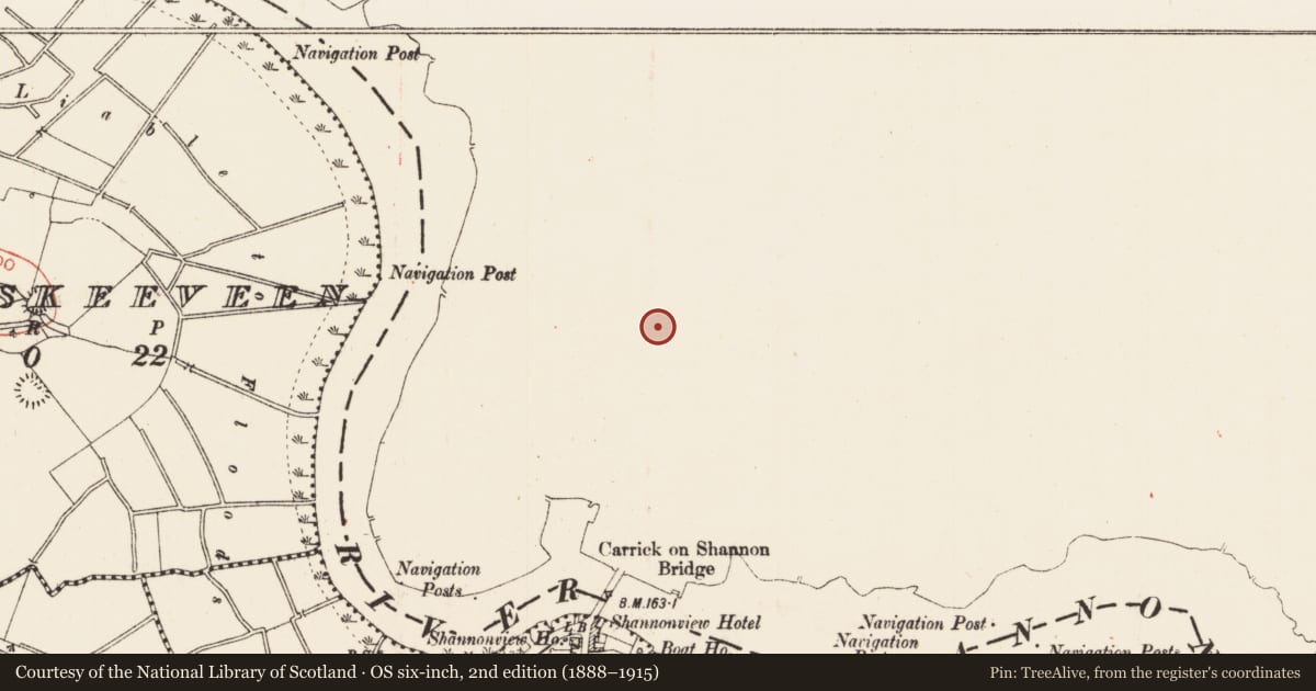 Ordnance Survey six-inch map, 2nd edition (1888–1915) covering the location of Historic town, Townparks, County Leitrim, with a pin at the register's coordinates