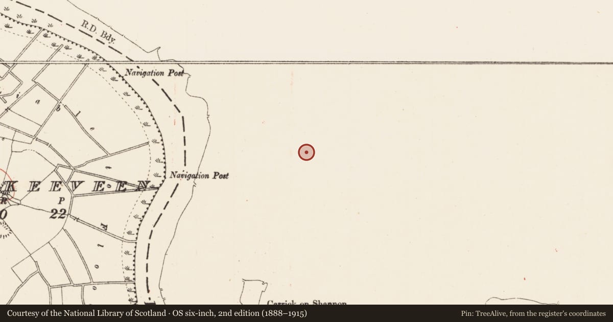 Ordnance Survey six-inch map, 2nd edition (1888–1915) covering the location of Church, Townparks, County Leitrim, with a pin at the register's coordinates