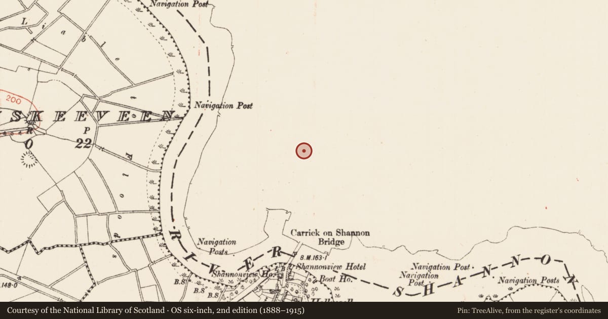 Ordnance Survey six-inch map, 2nd edition (1888–1915) covering the location of Mausoleum, Townparks, County Leitrim, with a pin at the register's coordinates