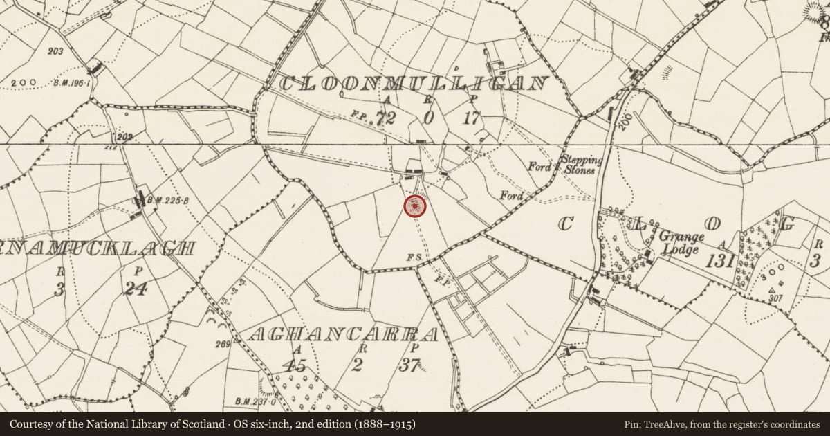 Ordnance Survey six-inch map, 2nd edition (1888–1915) covering the location of Ringfort - rath, Cloonmulligan, County Leitrim, with a pin at the register's coordinates