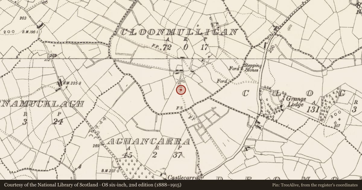 Ordnance Survey six-inch map, 2nd edition (1888–1915) covering the location of Enclosure, Cloonmulligan, County Leitrim, with a pin at the register's coordinates