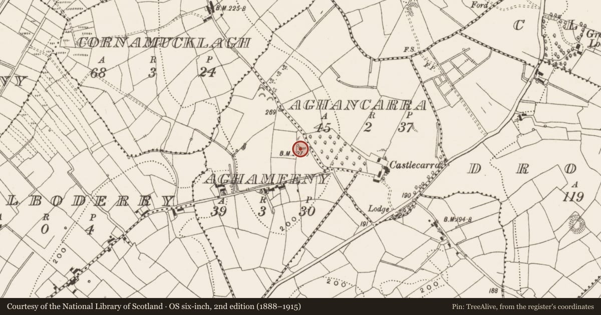 Ordnance Survey six-inch map, 2nd edition (1888–1915) covering the location of Ringfort - rath, Aghameeny, County Leitrim, with a pin at the register's coordinates