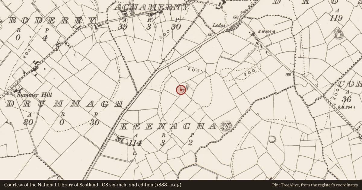 Ordnance Survey six-inch map, 2nd edition (1888–1915) covering the location of Ringfort - rath, Keenaghan, County Leitrim, with a pin at the register's coordinates