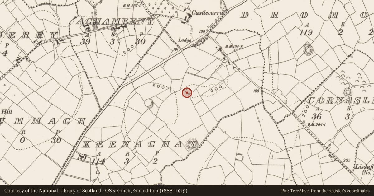 Ordnance Survey six-inch map, 2nd edition (1888–1915) covering the location of Ringfort - rath, Keenaghan, County Leitrim, with a pin at the register's coordinates