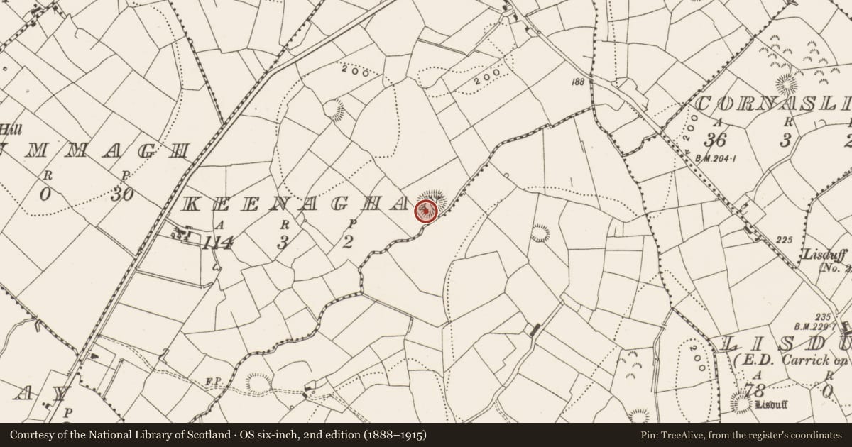 Ordnance Survey six-inch map, 2nd edition (1888–1915) covering the location of Ringfort - rath, Keenaghan, County Leitrim, with a pin at the register's coordinates