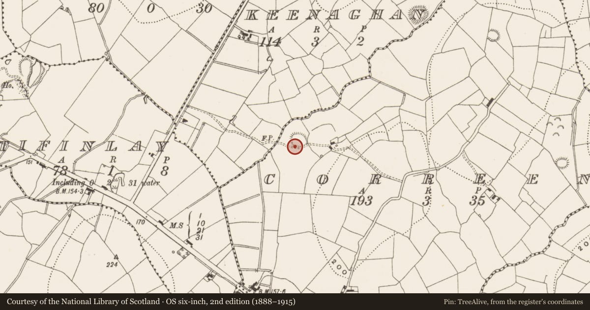 Ordnance Survey six-inch map, 2nd edition (1888–1915) covering the location of Ringfort - rath, Correen, County Leitrim, with a pin at the register's coordinates