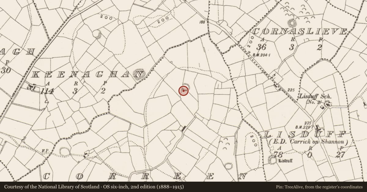 Ordnance Survey six-inch map, 2nd edition (1888–1915) covering the location of Ringfort - rath, Correen, County Leitrim, with a pin at the register's coordinates