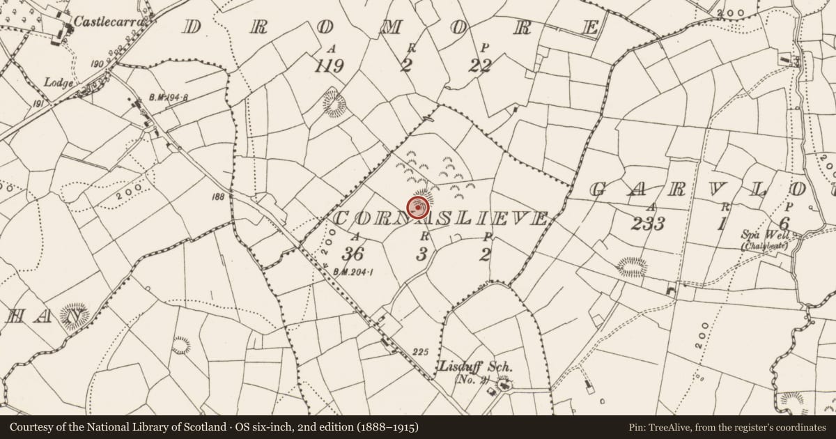 Ordnance Survey six-inch map, 2nd edition (1888–1915) covering the location of Ringfort - rath, Cornaslieve, County Leitrim, with a pin at the register's coordinates