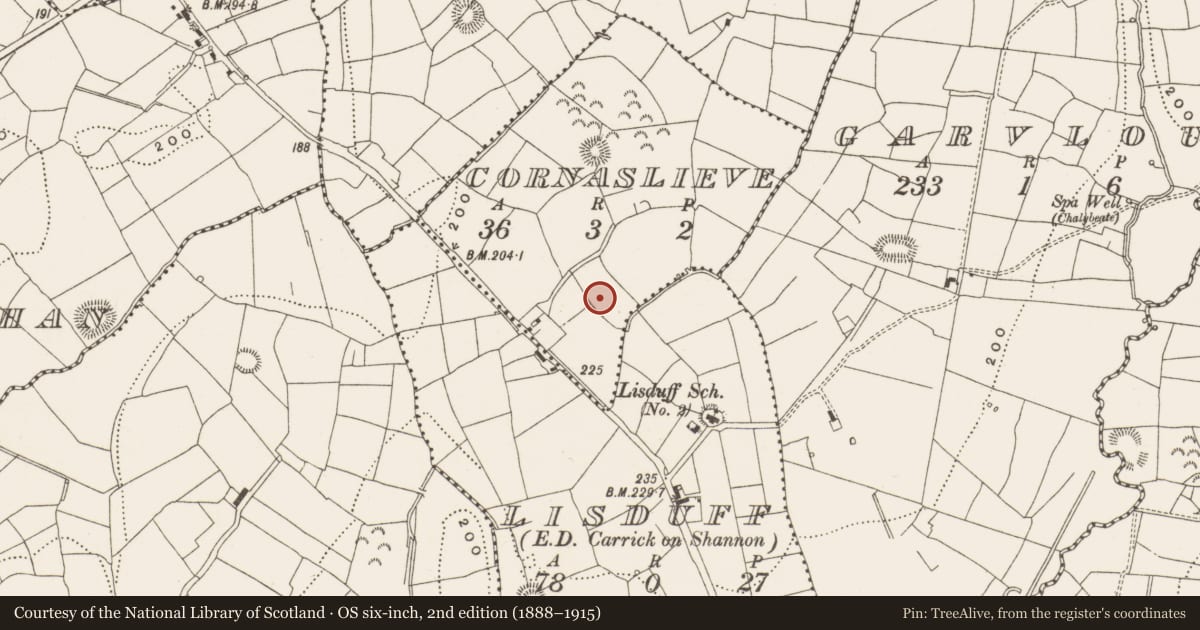 Ordnance Survey six-inch map, 2nd edition (1888–1915) covering the location of Ringfort - rath, Cornaslieve, County Leitrim, with a pin at the register's coordinates