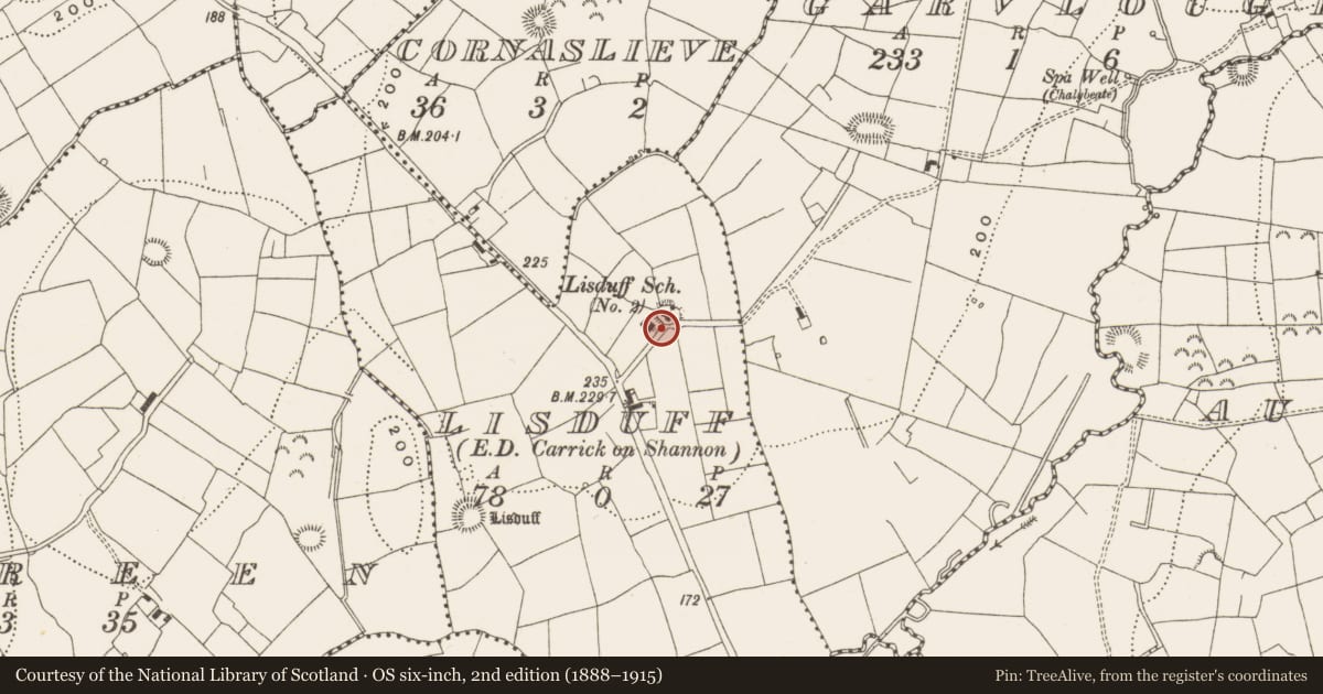 Ordnance Survey six-inch map, 2nd edition (1888–1915) covering the location of Ringfort - rath, Lisduff, County Leitrim, with a pin at the register's coordinates