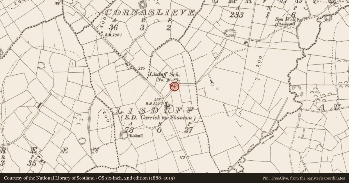 Ordnance Survey six-inch map, 2nd edition (1888–1915) covering the location of Church, Lisduff, County Leitrim, with a pin at the register's coordinates