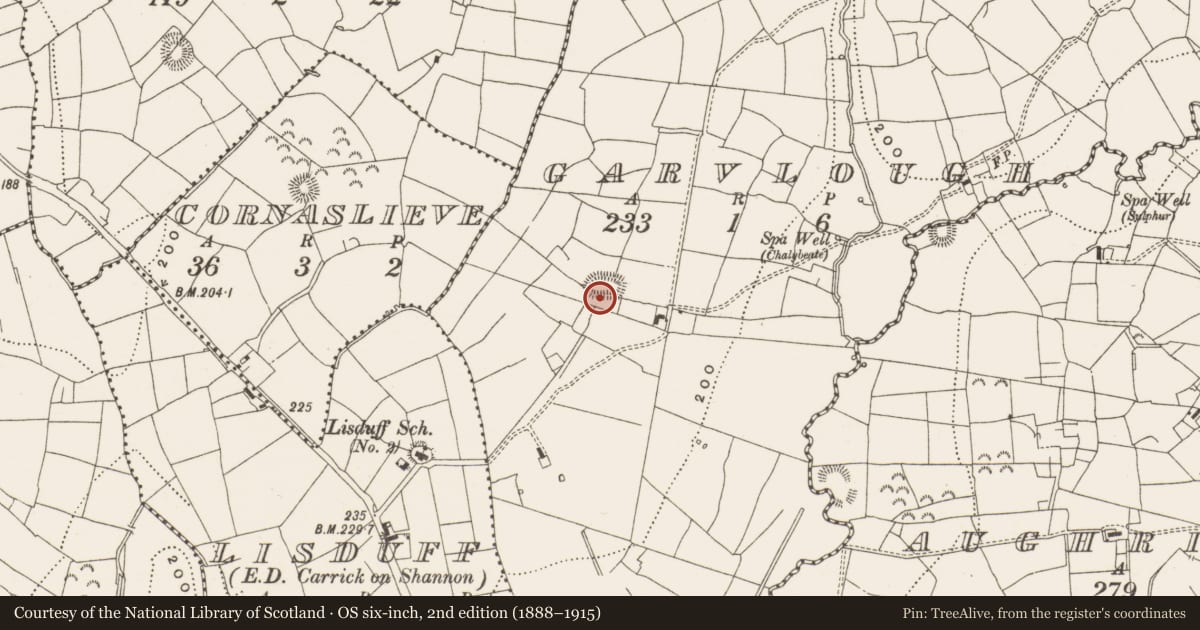 Ordnance Survey six-inch map, 2nd edition (1888–1915) covering the location of Ringfort - rath, Garvlough, County Leitrim, with a pin at the register's coordinates