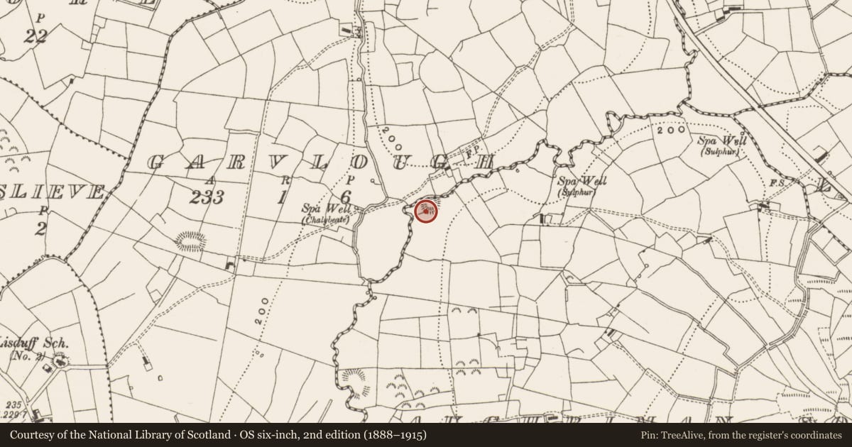 Ordnance Survey six-inch map, 2nd edition (1888–1915) covering the location of Ringfort - rath, Aughriman South, County Leitrim, with a pin at the register's coordinates