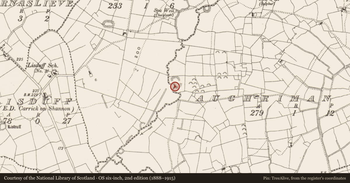 Ordnance Survey six-inch map, 2nd edition (1888–1915) covering the location of Ringfort - rath, Aughriman South, County Leitrim, with a pin at the register's coordinates
