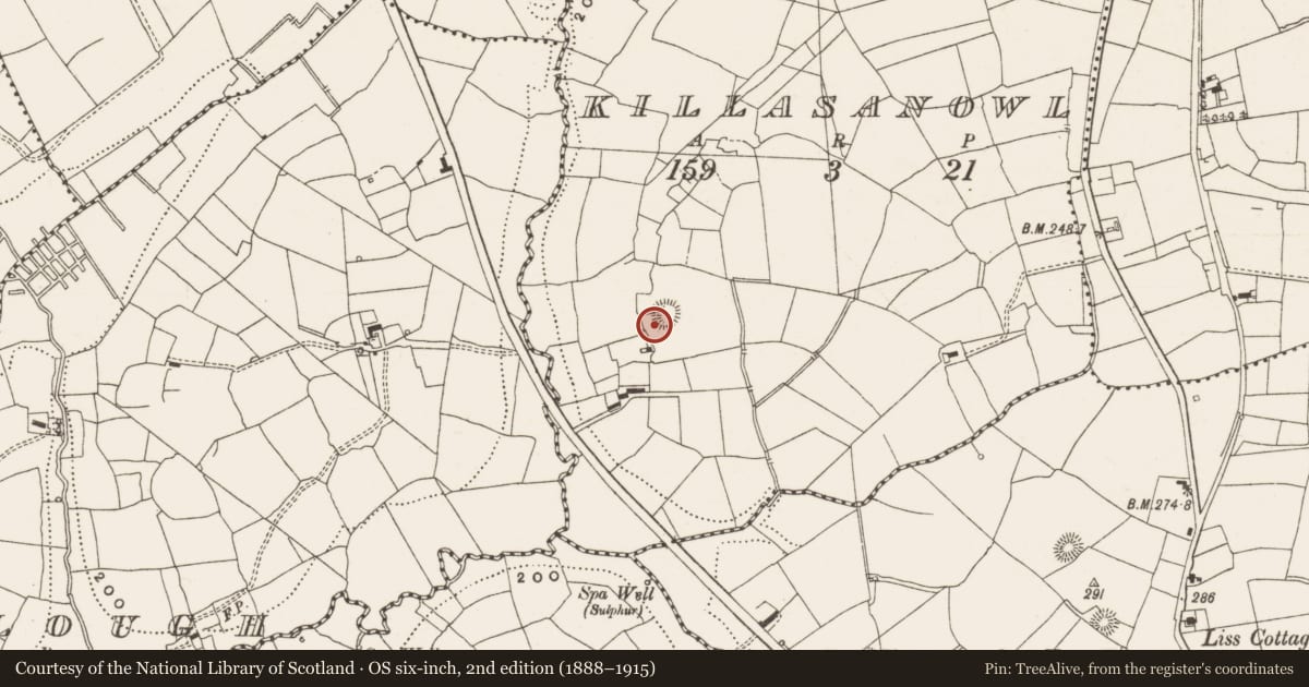 Ordnance Survey six-inch map, 2nd edition (1888–1915) covering the location of Ringfort - rath, Killasanowl, County Leitrim, with a pin at the register's coordinates