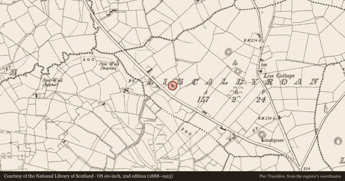 Ordnance Survey six-inch map, 2nd edition (1888–1915) covering the location of Ringfort - rath, Liscallyroan, County Leitrim, with a pin at the register's coordinates