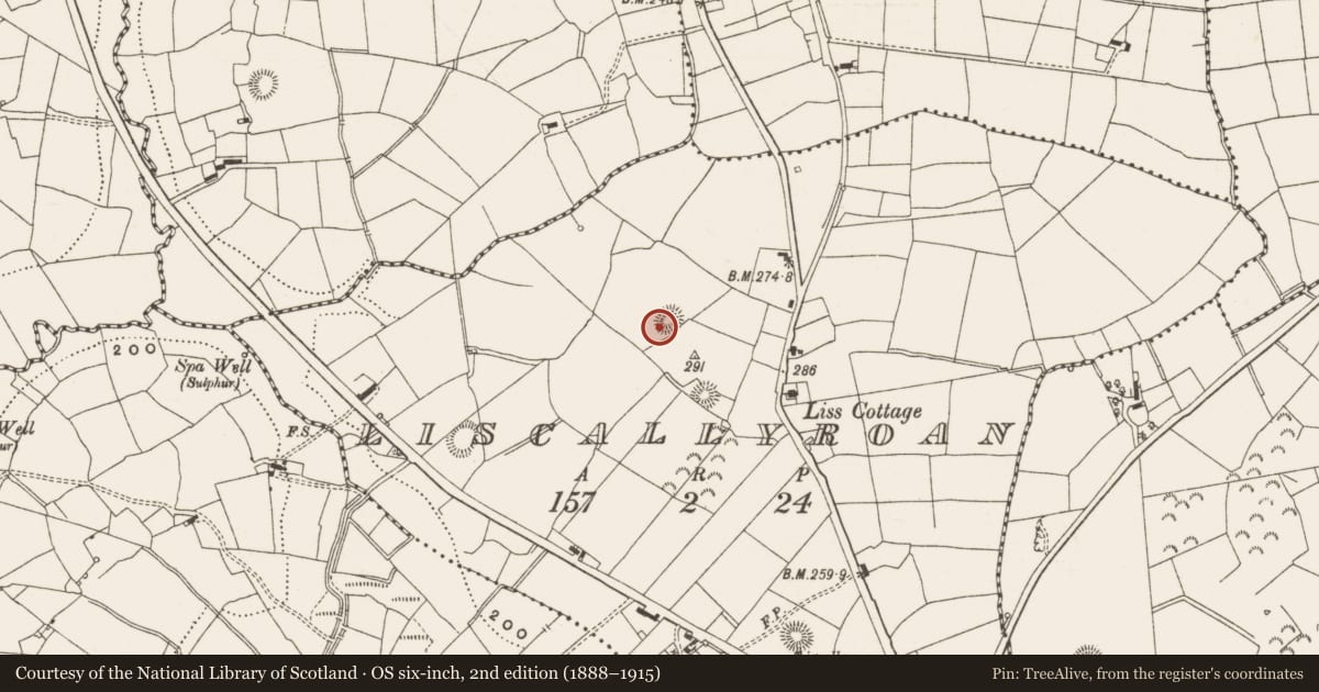 Ordnance Survey six-inch map, 2nd edition (1888–1915) covering the location of Ringfort - rath, Liscallyroan, County Leitrim, with a pin at the register's coordinates