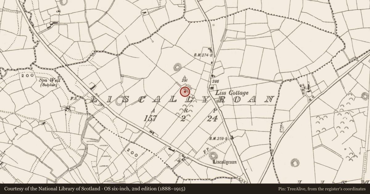Ordnance Survey six-inch map, 2nd edition (1888–1915) covering the location of Ringfort - rath, Liscallyroan, County Leitrim, with a pin at the register's coordinates