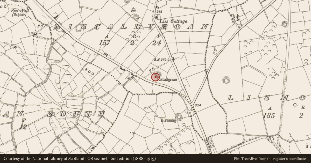 Ordnance Survey six-inch map, 2nd edition (1888–1915) covering the location of Ringfort - rath, Liscallyroan, County Leitrim, with a pin at the register's coordinates