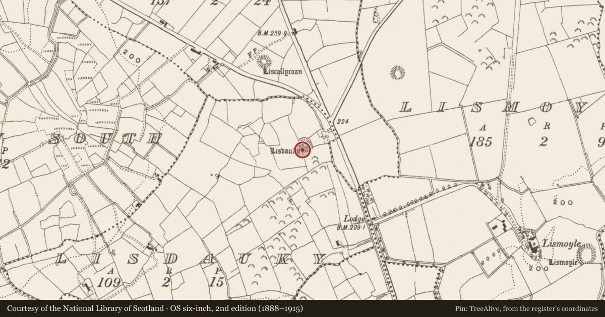 Ordnance Survey six-inch map, 2nd edition (1888–1915) covering the location of Ringfort - rath, Lisdauky, County Leitrim, with a pin at the register's coordinates