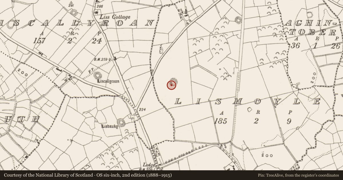 Ordnance Survey six-inch map, 2nd edition (1888–1915) covering the location of Ringfort - rath, Lismoyle, County Leitrim, with a pin at the register's coordinates