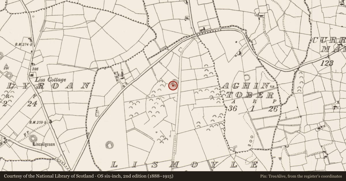 Ordnance Survey six-inch map, 2nd edition (1888–1915) covering the location of Ringfort - rath, Lismoyle, County Leitrim, with a pin at the register's coordinates