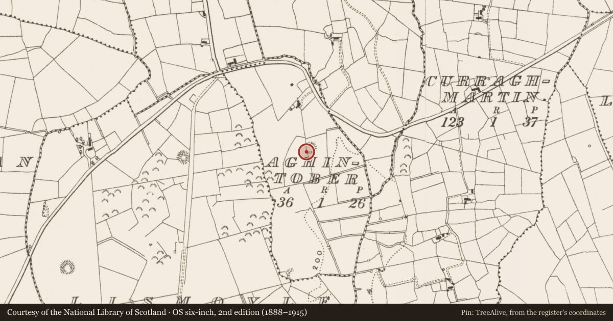 Ordnance Survey six-inch map, 2nd edition (1888–1915) covering the location of Ringfort - rath, Aghintober, County Leitrim, with a pin at the register's coordinates