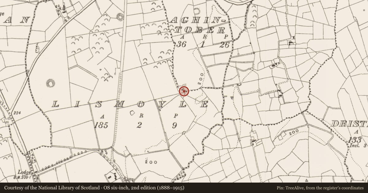 Ordnance Survey six-inch map, 2nd edition (1888–1915) covering the location of Ringfort - rath, Aghintober, County Leitrim, with a pin at the register's coordinates