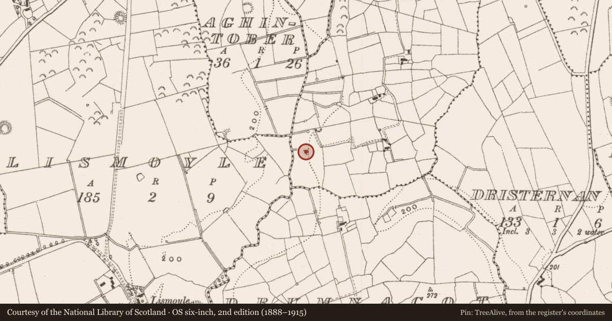 Ordnance Survey six-inch map, 2nd edition (1888–1915) covering the location of Ringfort - unclassified, Curraghmartin, County Leitrim, with a pin at the register's coordinates