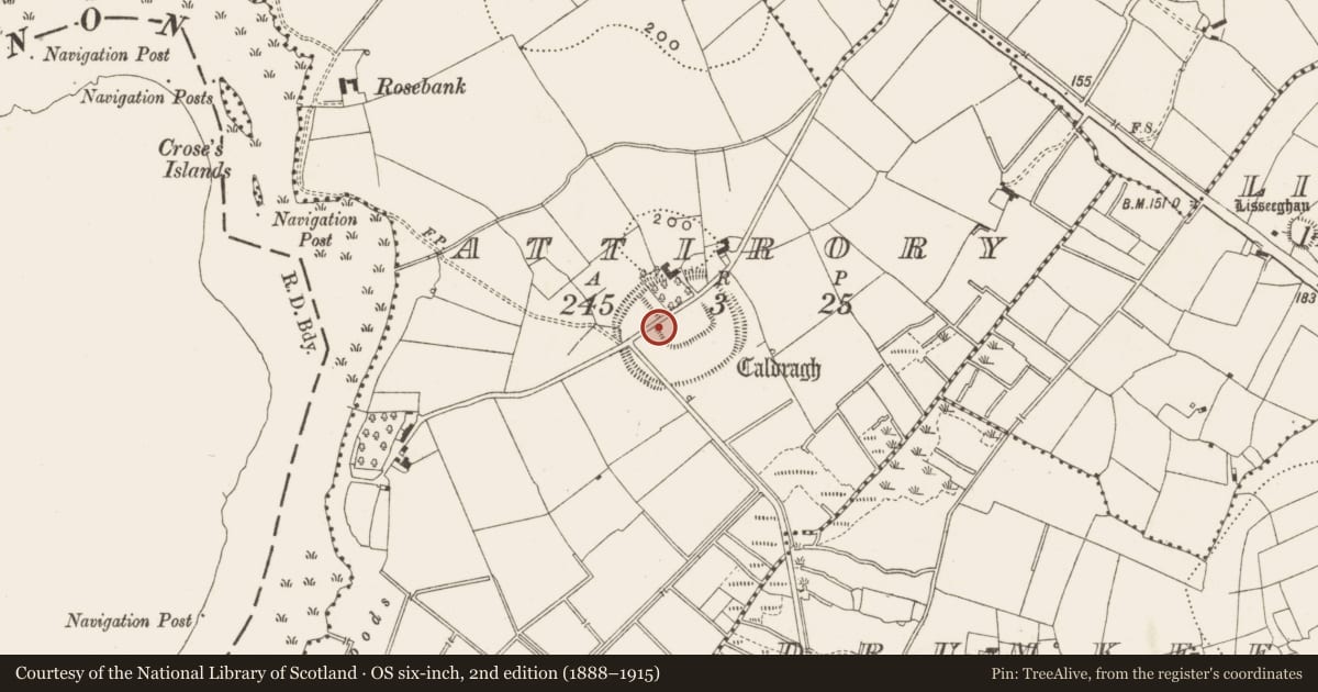 Ordnance Survey six-inch map, 2nd edition (1888–1915) covering the location of Bullaun stone, Attirory, County Leitrim, with a pin at the register's coordinates