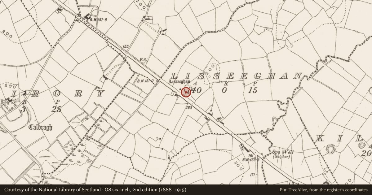 Ordnance Survey six-inch map, 2nd edition (1888–1915) covering the location of Ringfort - rath, Lisseeghan, County Leitrim, with a pin at the register's coordinates